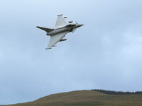 Typhoon FGR4 ZK374 TYPHO316