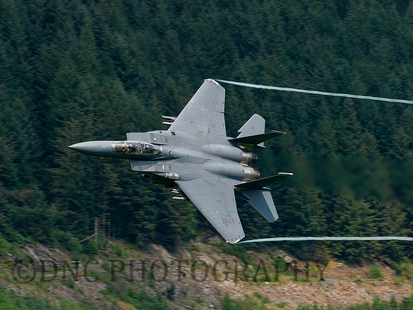 F-15E Strike Eagle LN AF 91-0321