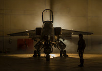 Pilot and his Jaguar
