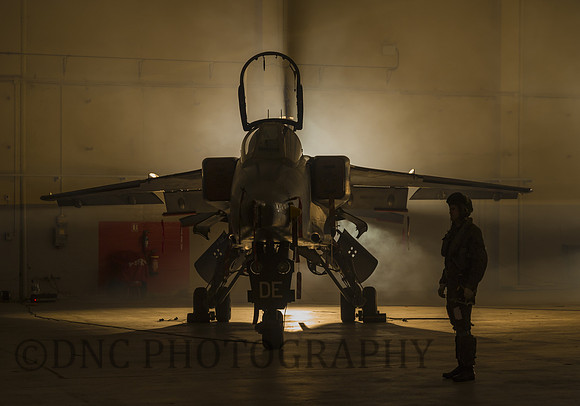 Pilot and his Jaguar