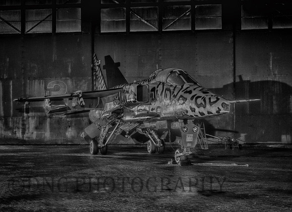 Sepecat Jaguar GR3.A XX119