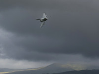 Typhoon FGR4 ZK374 TYPHO316