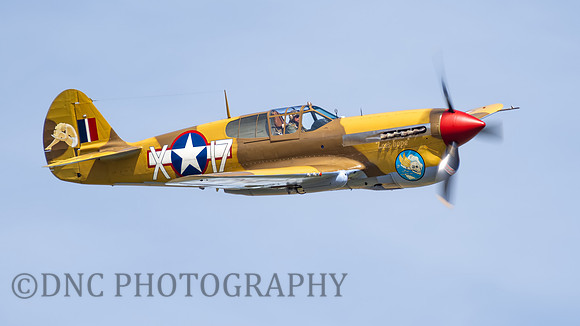 Curtiss P-40F Warhawk 41-19841 Lee's Hope