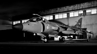 BAE Sea Harrier ZH796 L-001
