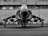 BAe Sea Harrier ZH796 L-001
