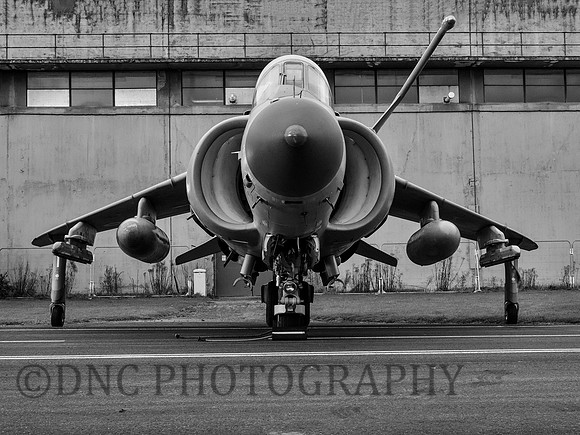 BAe Sea Harrier ZH796 L-001