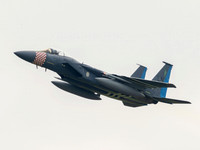 F-15C 84-010 LN D-Day Heritage 493 FS 48 FW USAF The Grim Reapers.