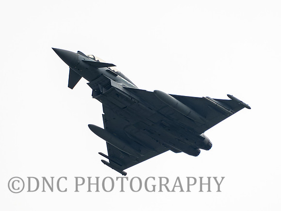Typhoon T.3 ZK383 Vandal 41