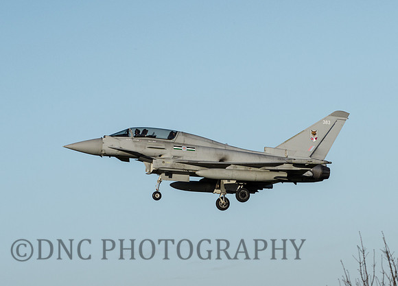 Typhoon T3 ZK383. 12 Squadron
