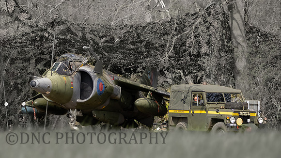 Hawker Siddley Harrier GR.3 XV779 in hide