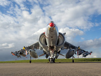 BAe Harrier GR7 ZD318