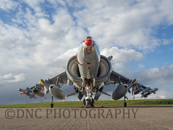 BAe Harrier GR7 ZD318