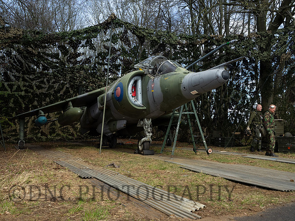 Hawker Siddley Harrier GR.3 XV779 in hide