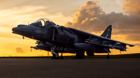 BAe Harrier GR7 ZD318