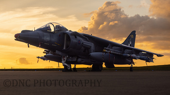 BAe Harrier GR7 ZD318