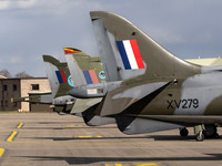 Harrier Tails