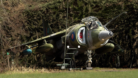 Hawker Siddley Harrier GR.3 XV779