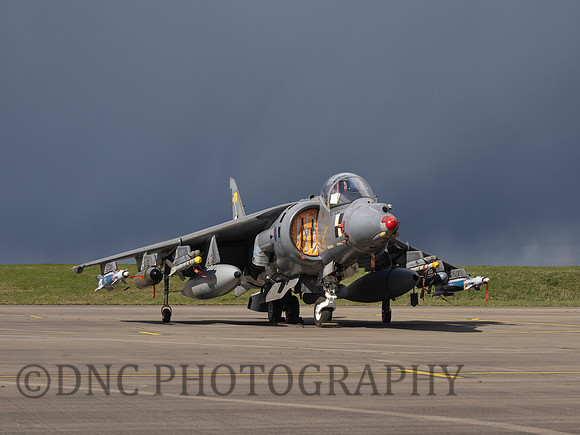 BAe Harrier GR7 ZD318