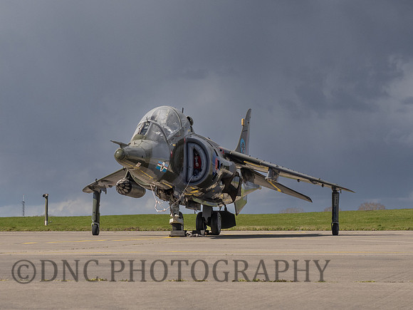 Hawker Siddley Harrier T.4 XZ146