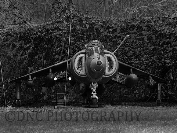 Hawker Siddley Harrier GR.3 XV779 in hide
