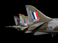 Harrier Tails