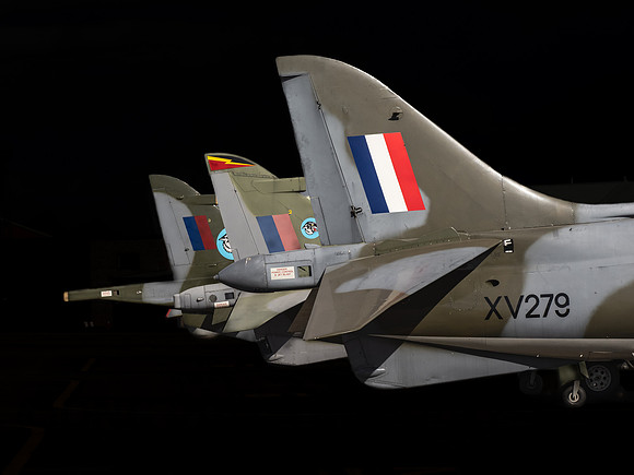 Harrier Tails