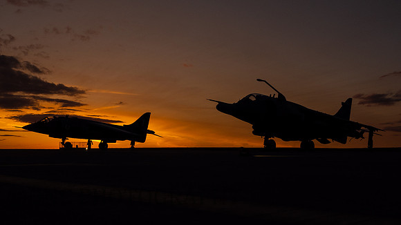 Harriers at Sunset