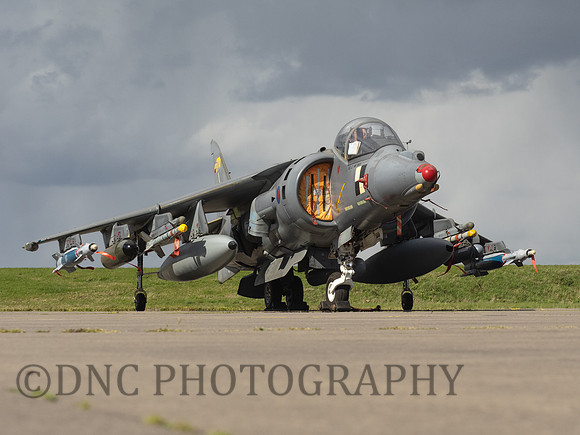 BAe Harrier GR7 ZD318