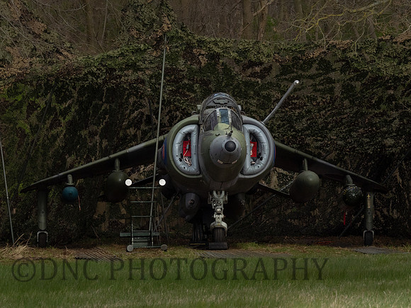 Hawker Siddley Harrier GR.3 XV779 in hide