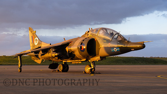 Hawker Siddley Harrier T.4 XZ146