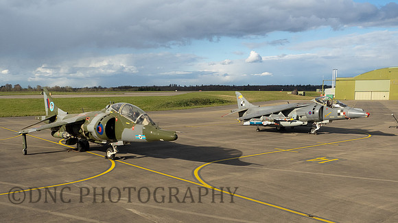 Hawker Siddley Harrier T.4 XZ146 & Harrier GR.7 ZD318