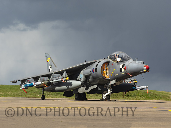 BAe Harrier GR7 ZD318