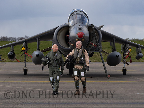 Harrier Pilots