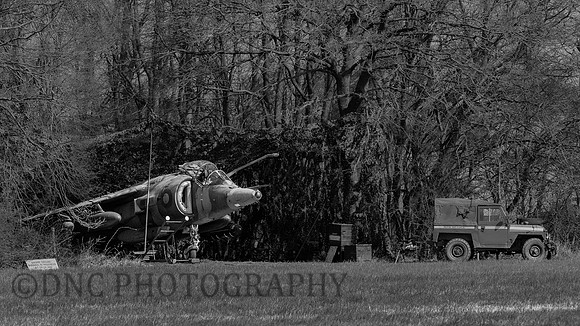 Hawker Siddley Harrier GR.3 XV779 in hide