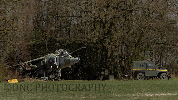 Hawker Siddley Harrier GR.3 XV779 in hide