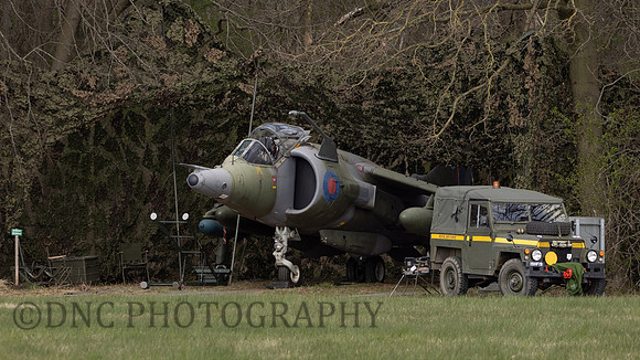 Hawker Siddley Harrier GR.3 XV779 in hide