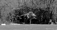 Hawker Siddley Harrier GR.3 XV779 in hide