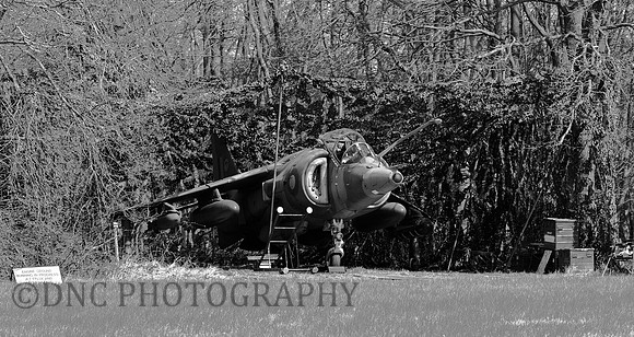 Hawker Siddley Harrier GR.3 XV779 in hide