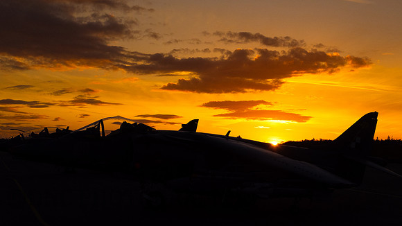 Harriers at Sunset