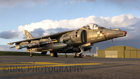 BAe Harrier GR7 ZD318
