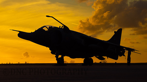 Hawker Siddley Harrier GR.3 XV779
