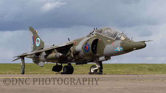 Hawker Siddley Harrier T.4 XZ146