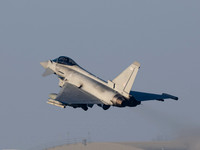 Typhoon FGR4 ZK339