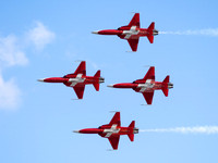 Patrouille Swiss Display Team Northrop F-5E Tiger II