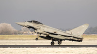 Typhoon FGR4 ZK339