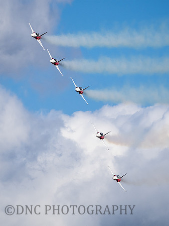 Patrouille Swiss Display Team Northrop F-5E Tiger II