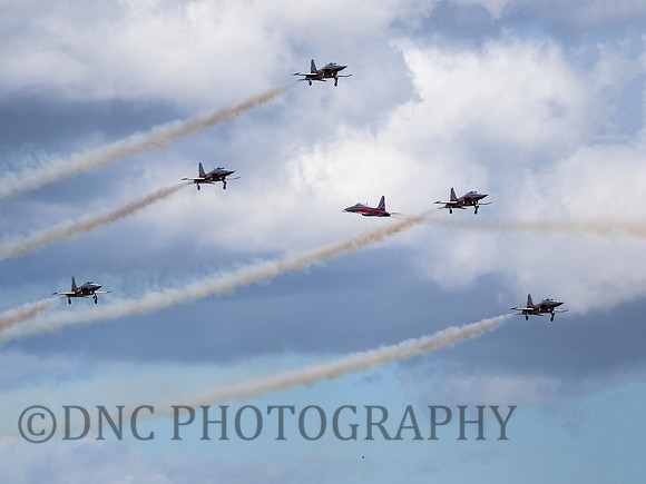 Patrouille Swiss Display Team Northrop F-5E Tiger II
