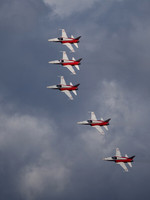 Patrouille Swiss Display Team Northrop F-5E Tiger II