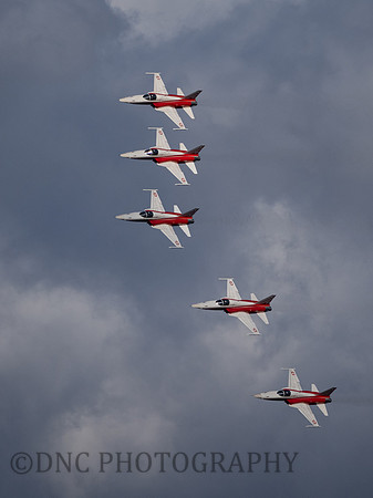 Patrouille Swiss Display Team Northrop F-5E Tiger II