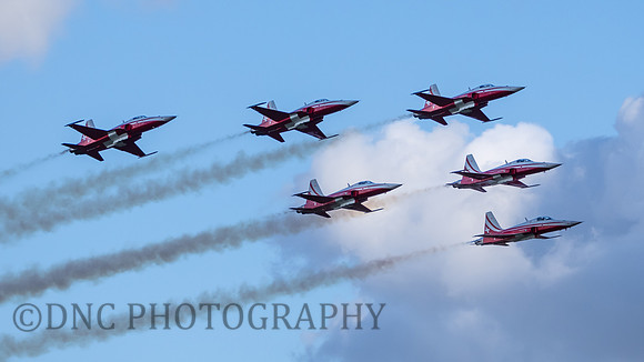 Patrouille Swiss Display Team Northrop F-5E Tiger II